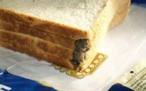 Mouse in Bread - HACCP Mentor
