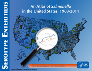 Salmonella Serotype