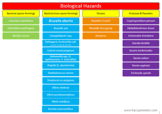 Determining Non-Potentially Hazardous Foods