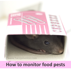 How to complete pest monitoring in your food business