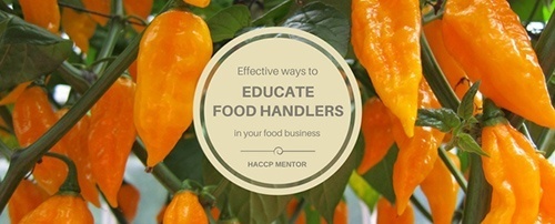 Staff education for your food business