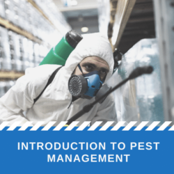 An introduction to pest management online training