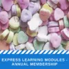 Express Learning Membership to online training